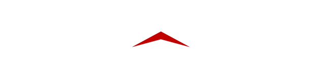 North Stone Logo
